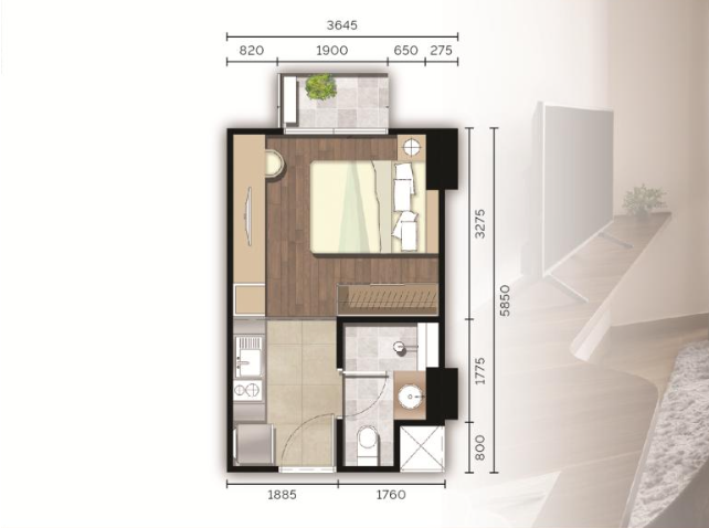 Studio 26.55sqm 間取り図
